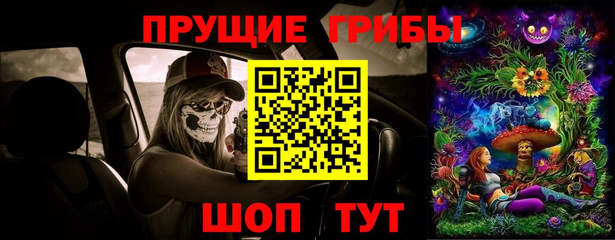 Галлюциногенные грибы Psilocybine cubensis Белгород